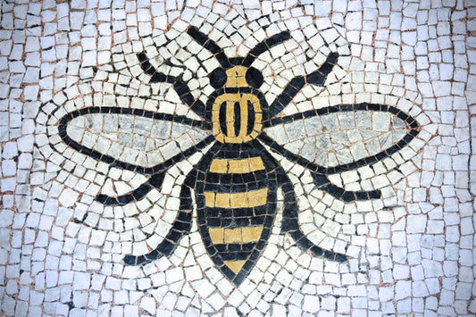 Celebrate World Bee Day