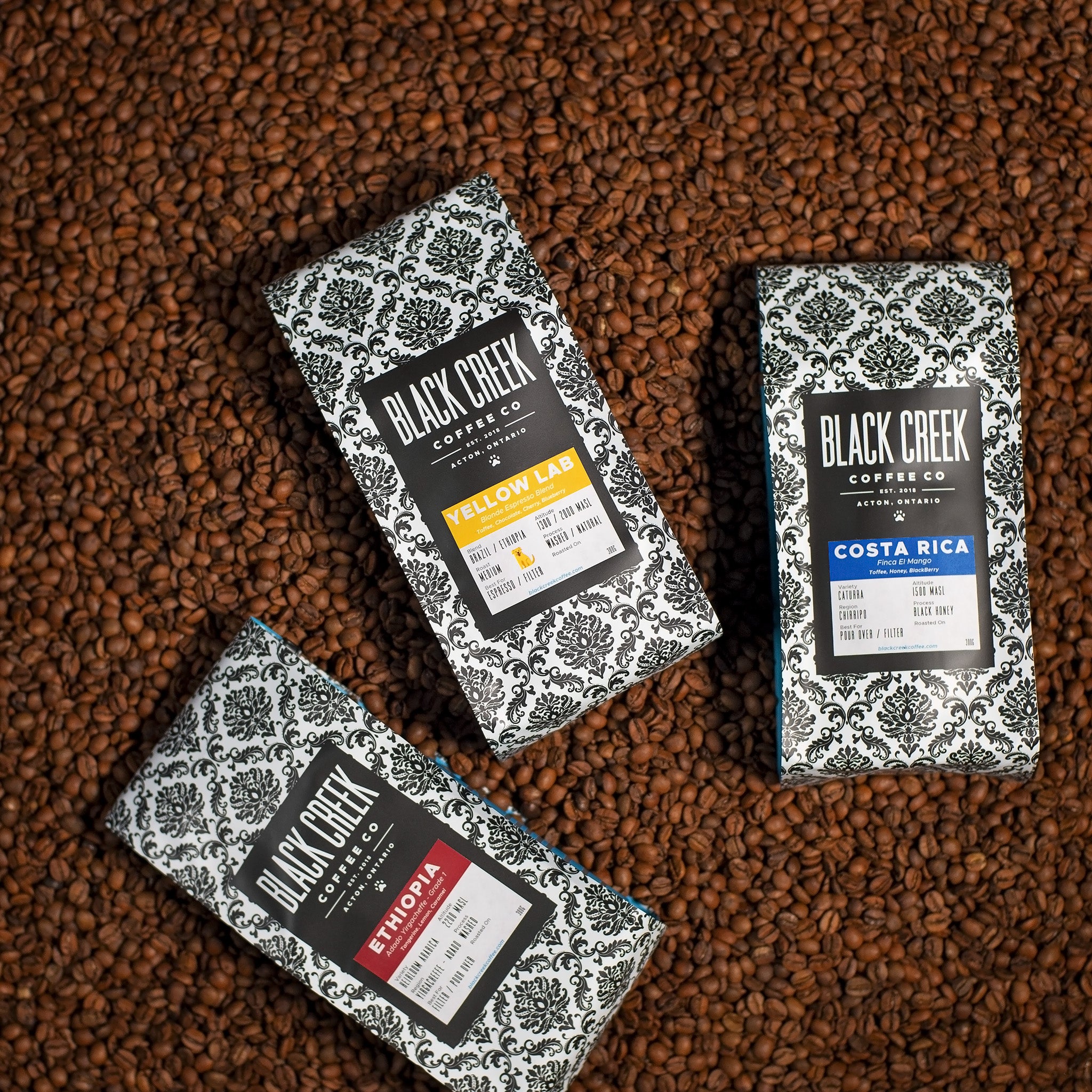 black creek coffee specialty coffee