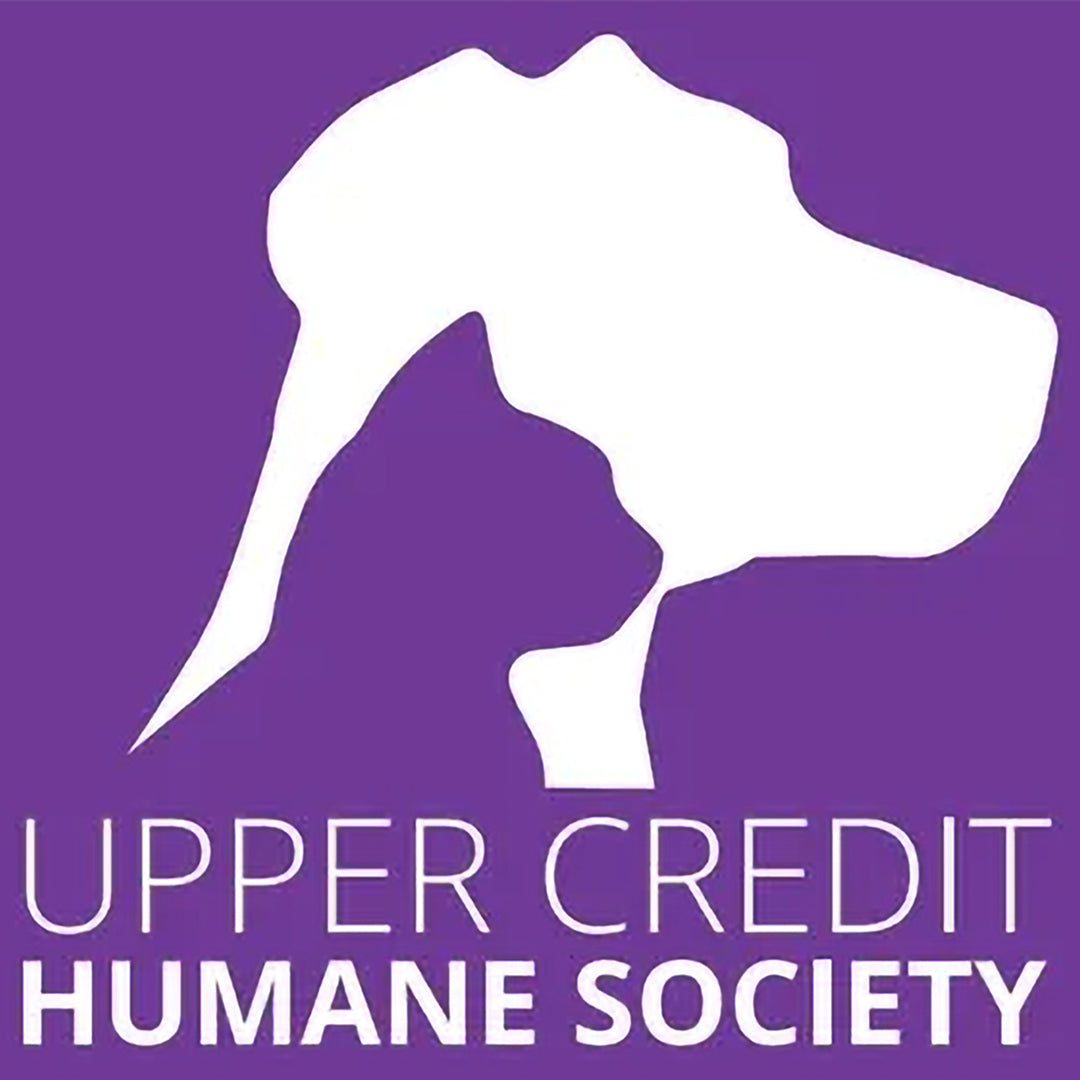 Jingle Bentley Christmas Blend