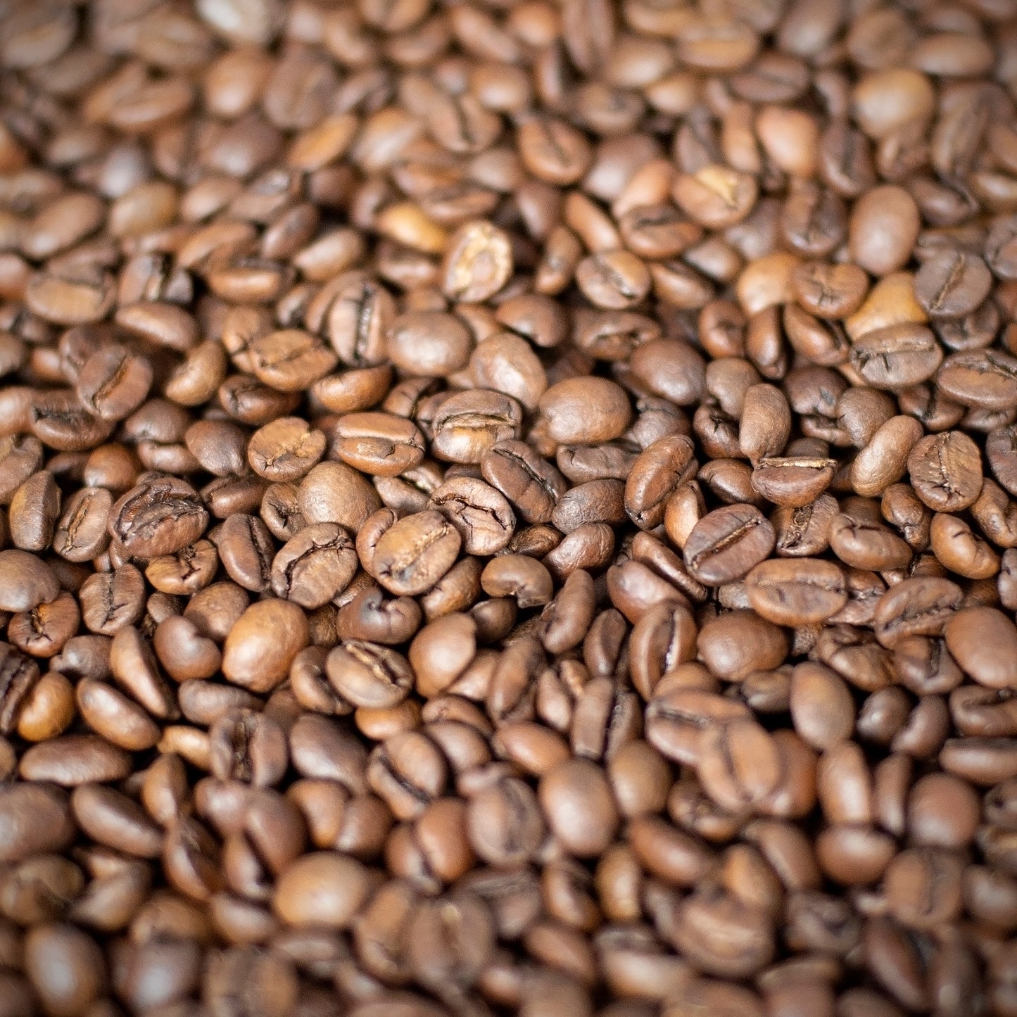 Brazil Fazenda Cachoeira