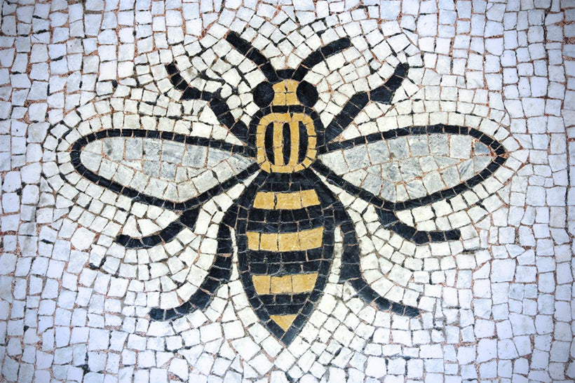 Celebrate World Bee Day