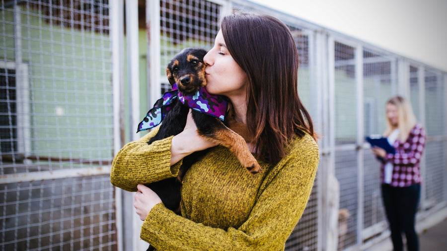 Fundraising Collection