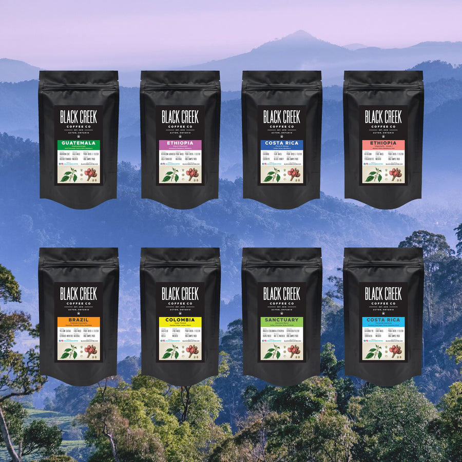 black creek coffee specialty sample pack