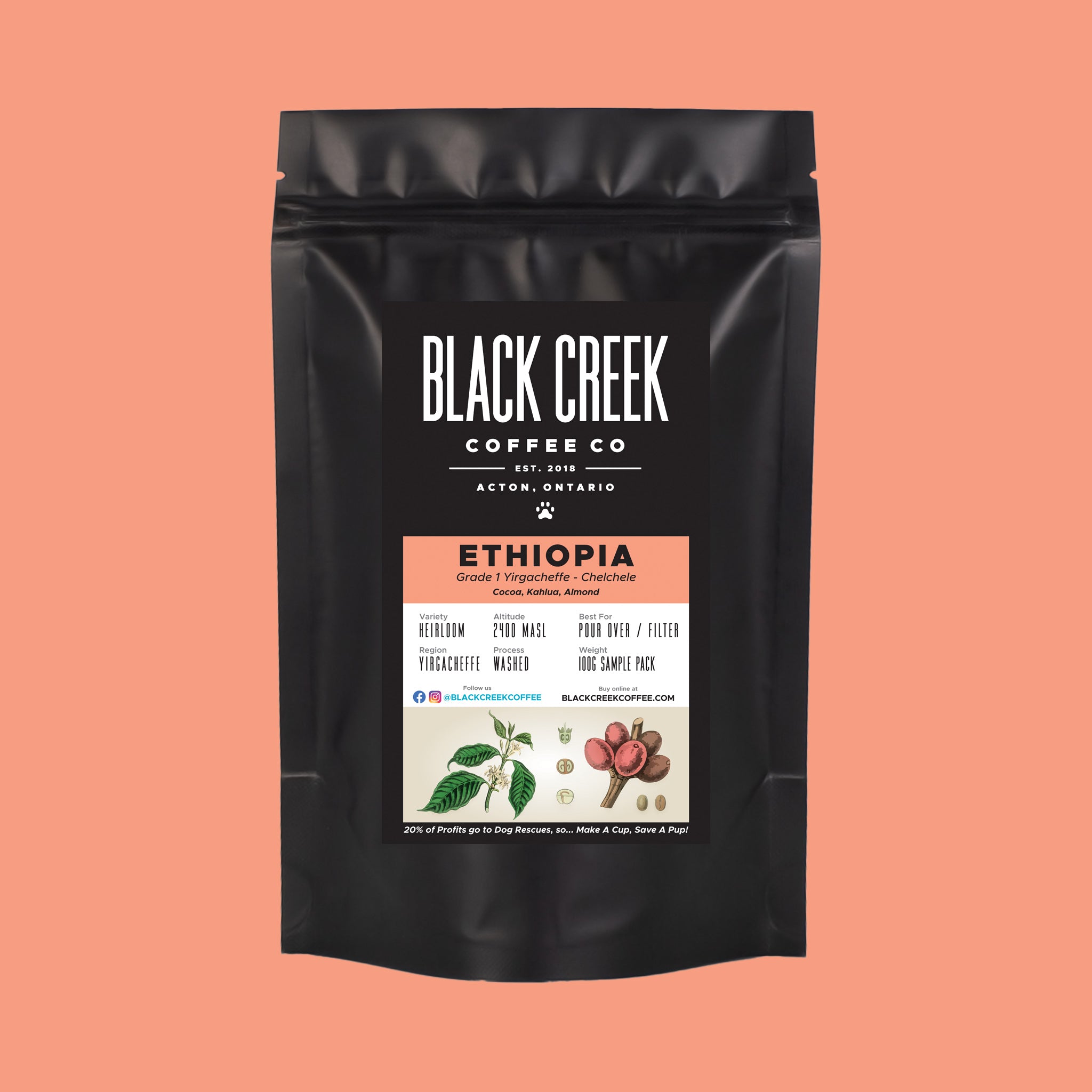 Black Creek Coffee Sampler Bundle