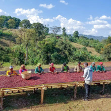 Ethiopia Kayon Mountain Honey Guji