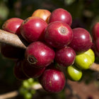 Kenya AA Kianjiru