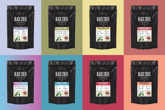 Black Creek Coffee Sampler Bundle