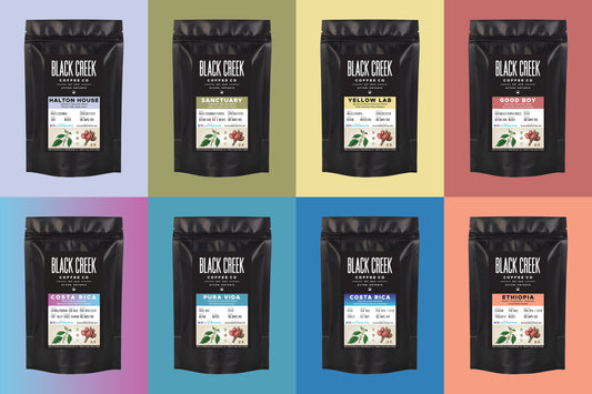 Black Creek Coffee Sampler Bundle