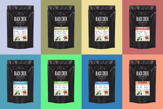 Black Creek Coffee Sampler Bundle